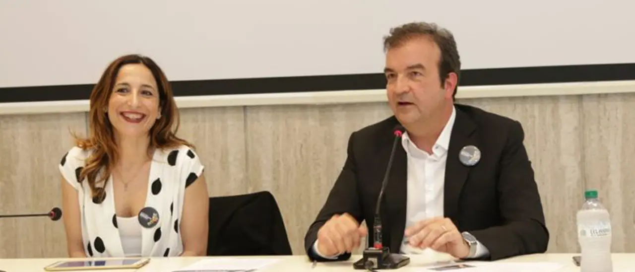 Occhiuto: «Palazzo dei Bruzi è come se avesse scelto di chiudere l'esperienza Amaco»