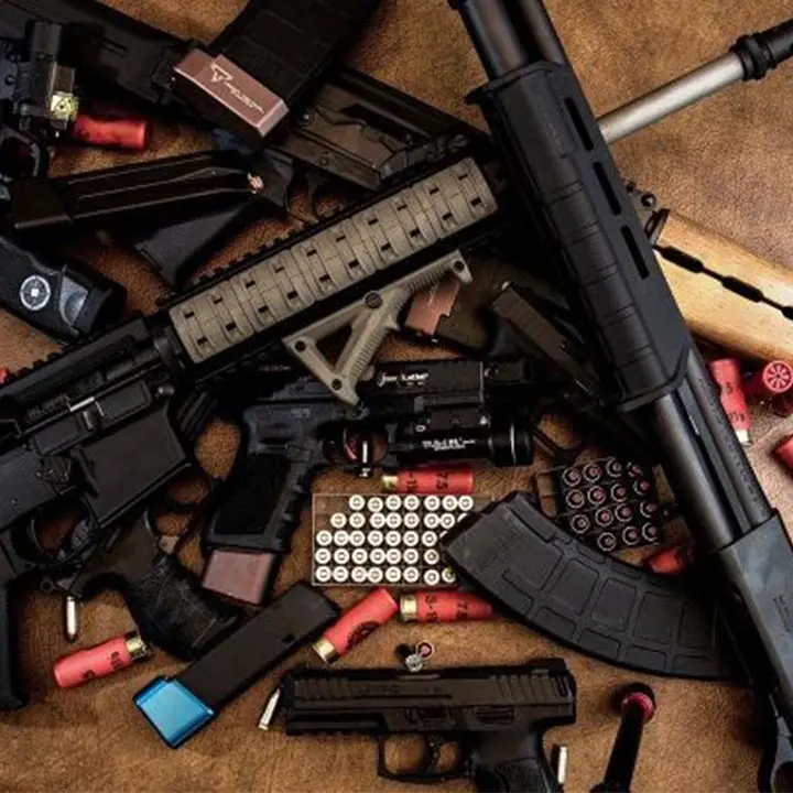 Cosenza, la scalata del clan degli zingari. Dai furti al traffico d'armi internazionale