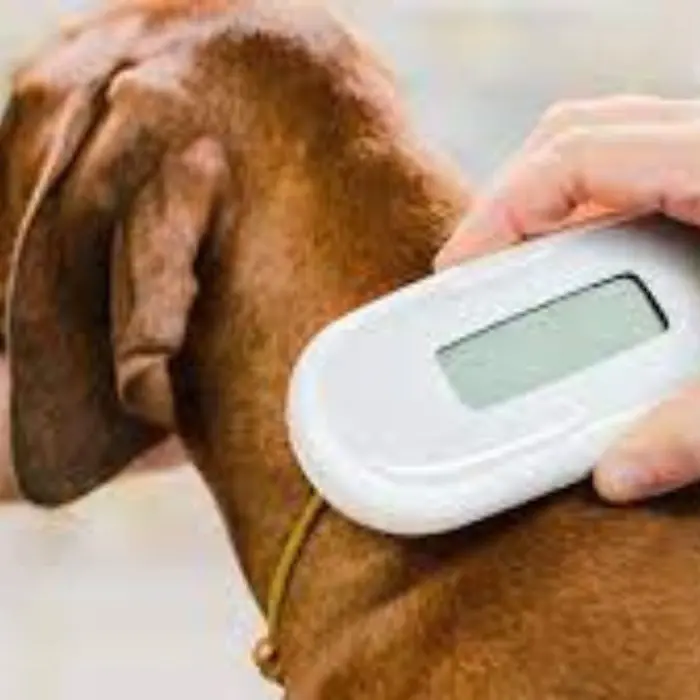 In Lombardia il maggior numero di animali domestici con microchip