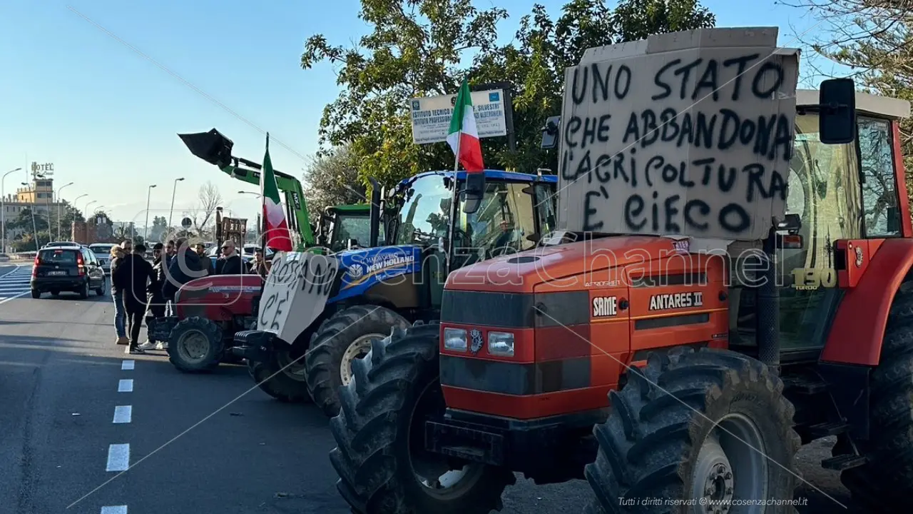 Crisi agricola nella Sibaritide: L'appello accorato dei produttori
