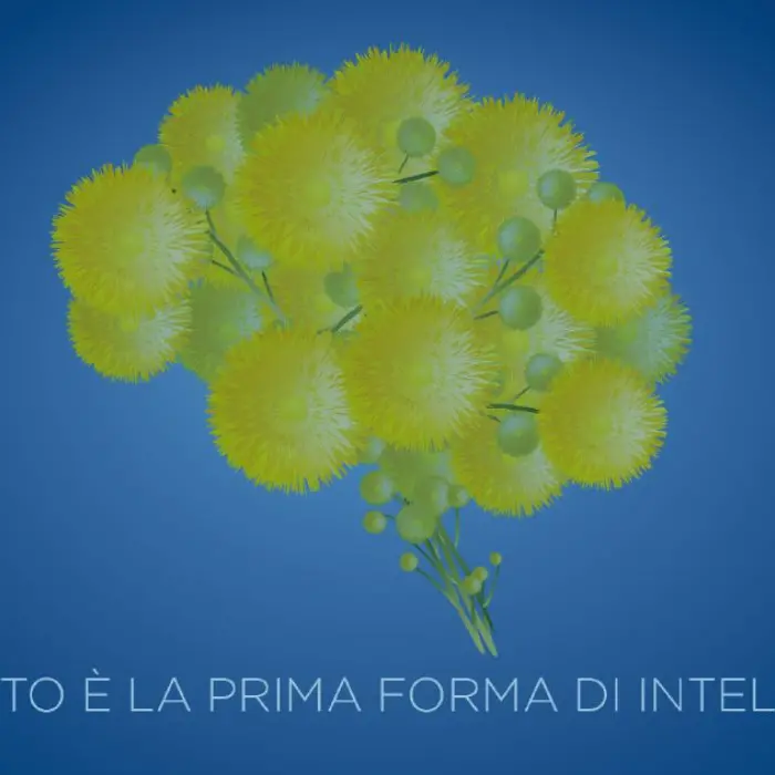 Poste italiane, una cartolina dedicata alle donne: ecco dove trovarla