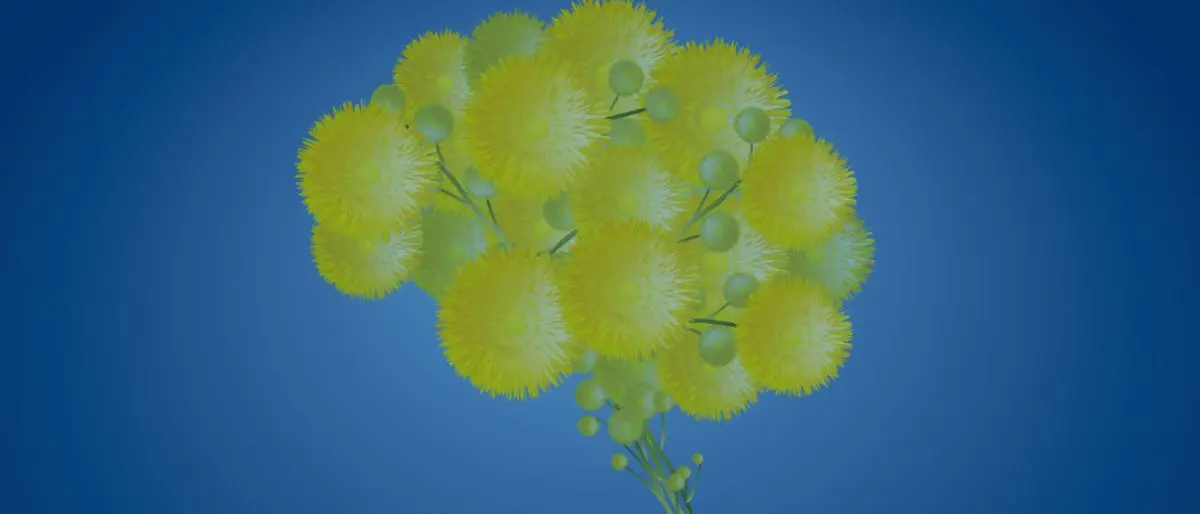 Poste italiane, una cartolina dedicata alle donne: ecco dove trovarla