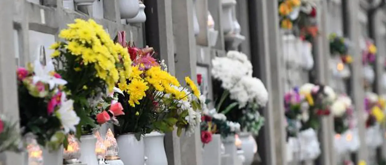 Coldiretti Calabria: «Crisantemo il fiore più scelto dai calabresi per l'omaggio ai defunti»