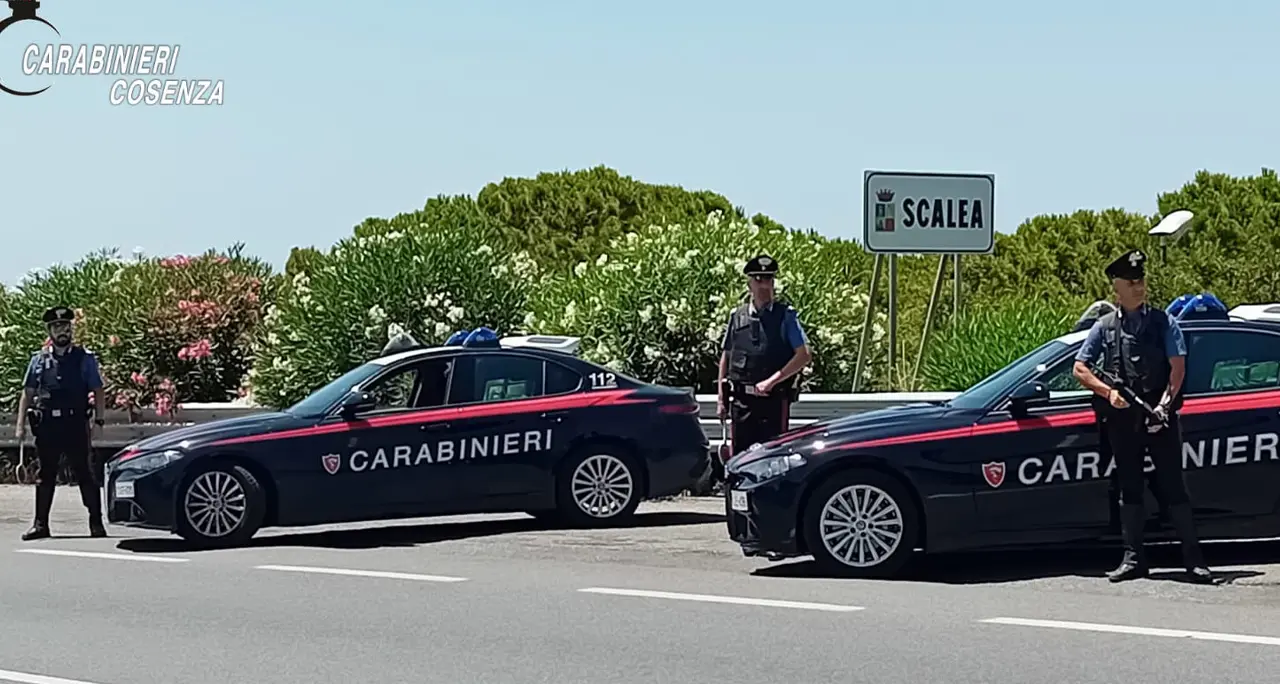 Ferragosto sulla Riviera dei Cedri, sequestrato un parco giochi e controllata una discoteca\n