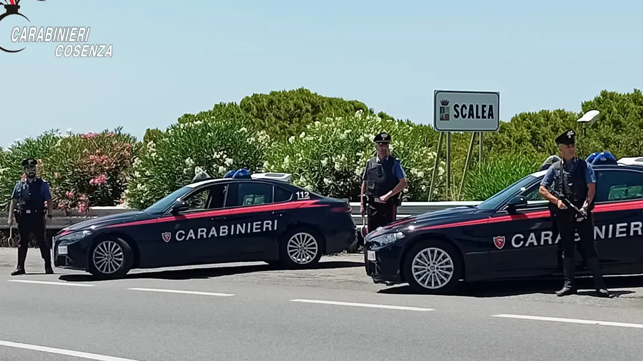 Ferragosto sulla Riviera dei Cedri, sequestrato un parco giochi e controllata una discoteca\n
