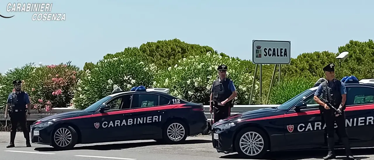 Ferragosto sulla Riviera dei Cedri, sequestrato un parco giochi e controllata una discoteca\n