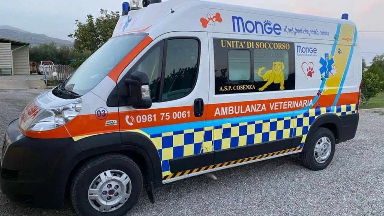 Santa Maria del Cedro, un prof e un carabiniere salvano due bambini dall'annegamento