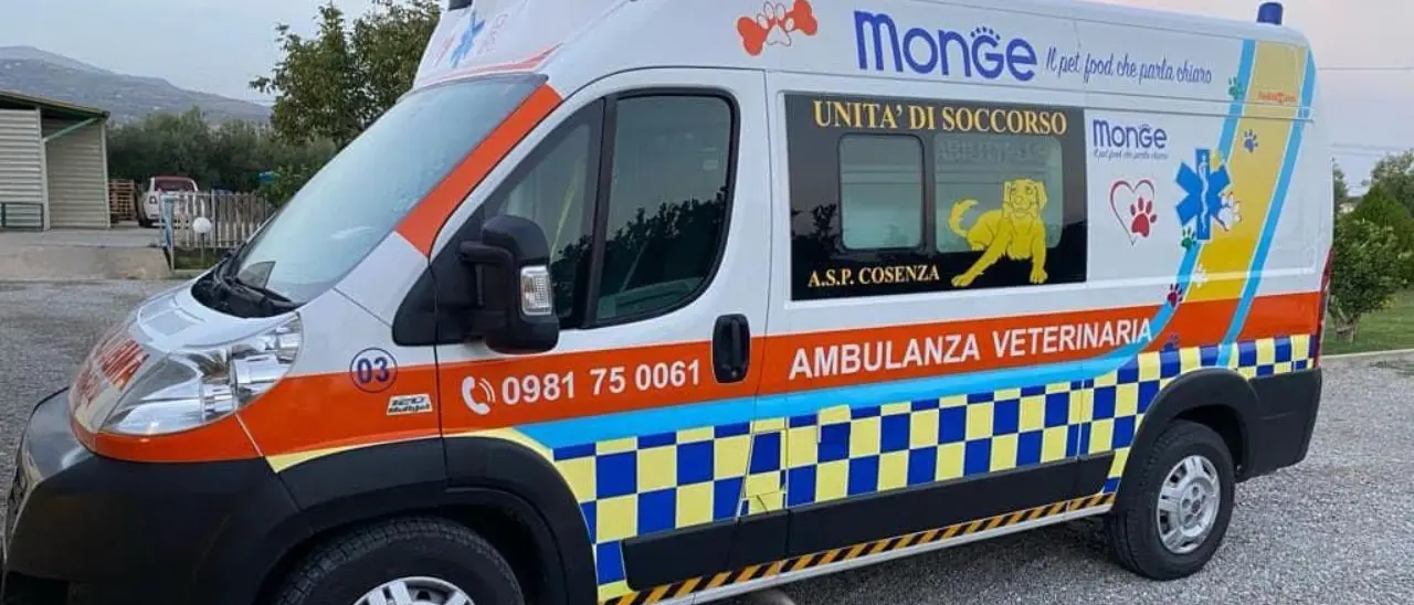 Santa Maria del Cedro, un prof e un carabiniere salvano due bambini dall'annegamento