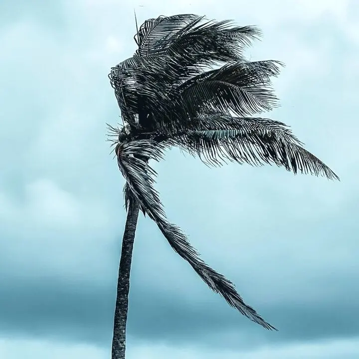 Meteo Cosenza, sullo Ionio rischio mareggiate a metà settimana. Non si esclude un vortice ciclonico Medicane