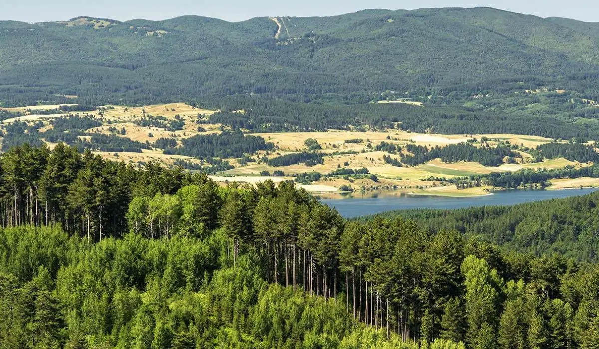 Nasce W.A.L.K. il lungo cammino da Forlì a Rende per scoprire le bellezze naturali