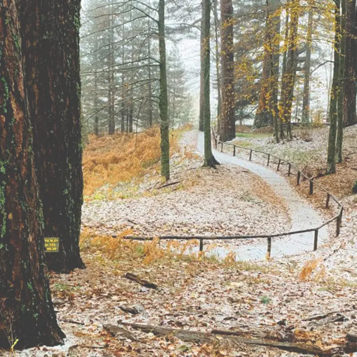 Meteo Cosenza, weekend turbolento e primi fiocchi sulla Sila