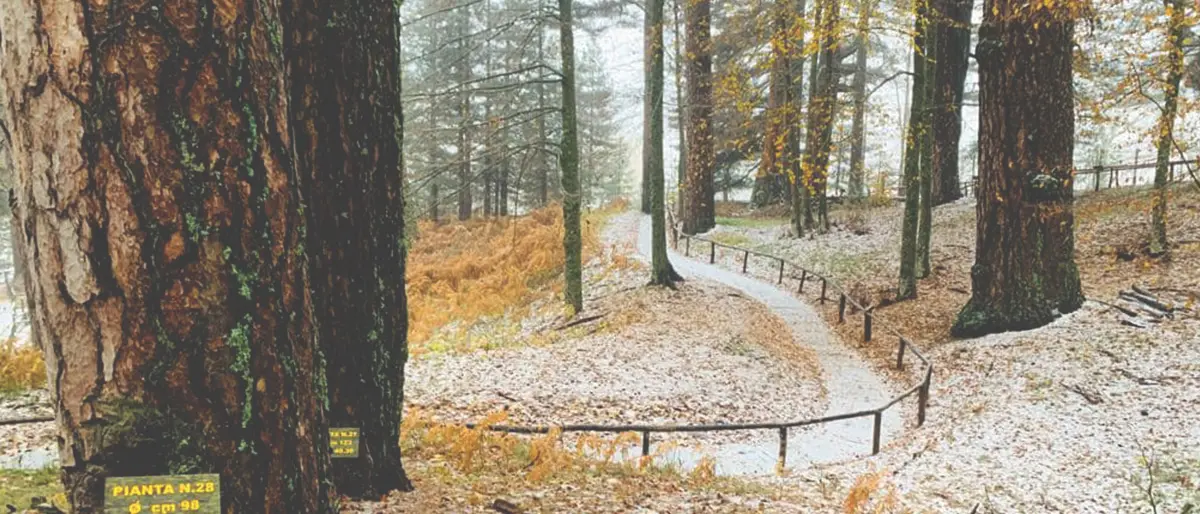 Meteo Cosenza, weekend turbolento e primi fiocchi sulla Sila