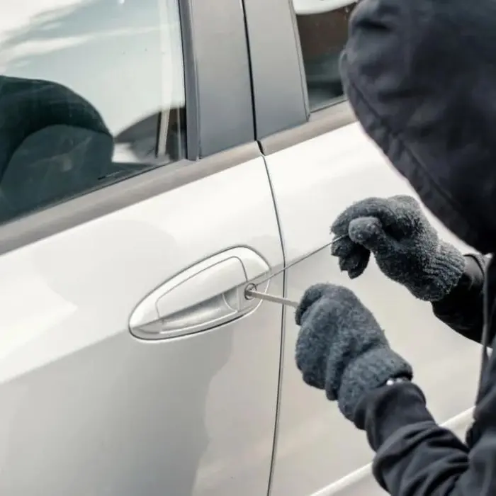 Quel \"cavallo di ritorno\" durante la partita di serie B Cosenza-Brescia