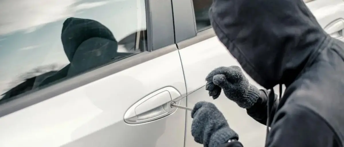 Quel \"cavallo di ritorno\" durante la partita di serie B Cosenza-Brescia
