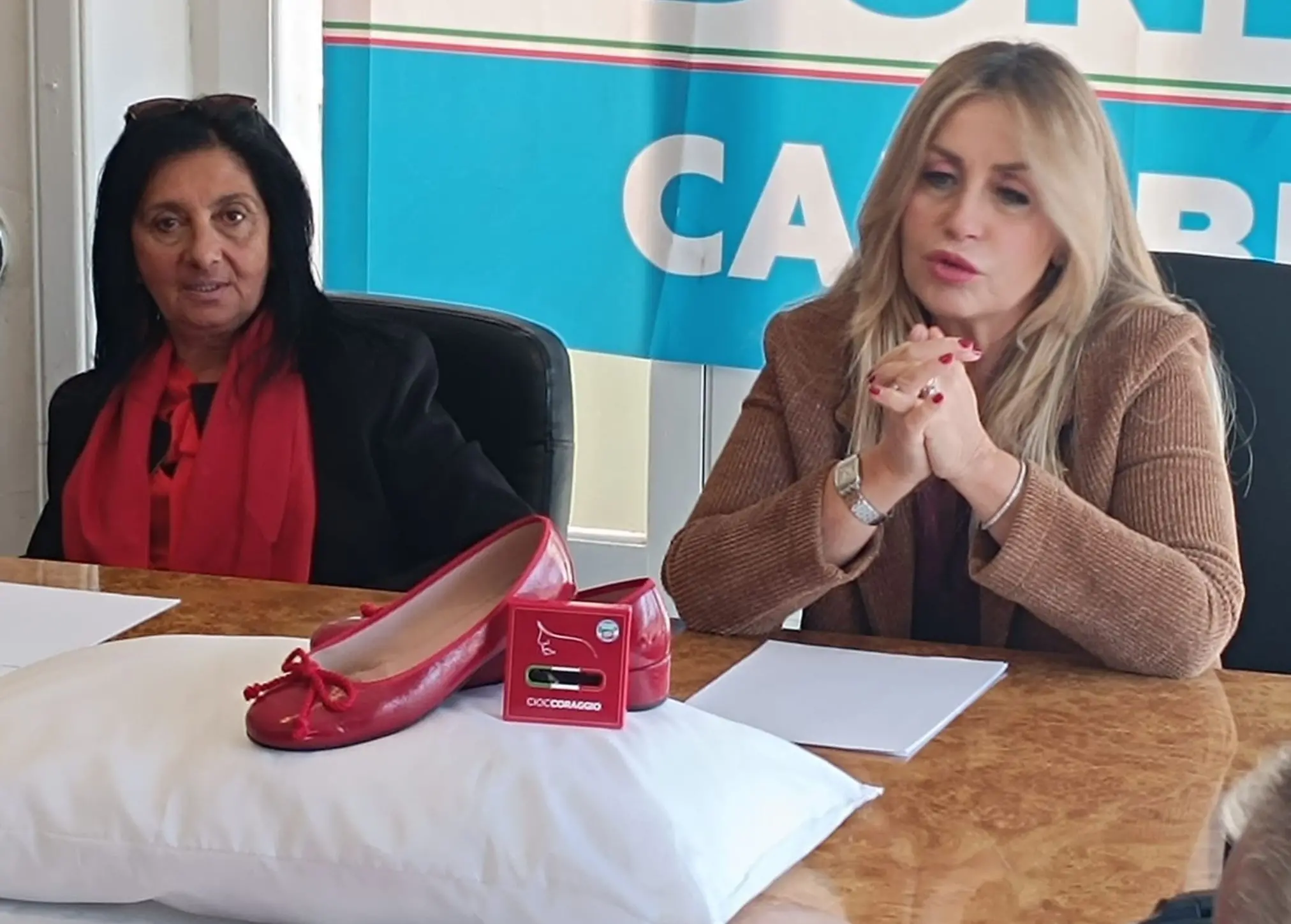 Violenza di genere, Forza Italia lancia da Cosenza l'idea di un'app dedicata alle donne in pericolo