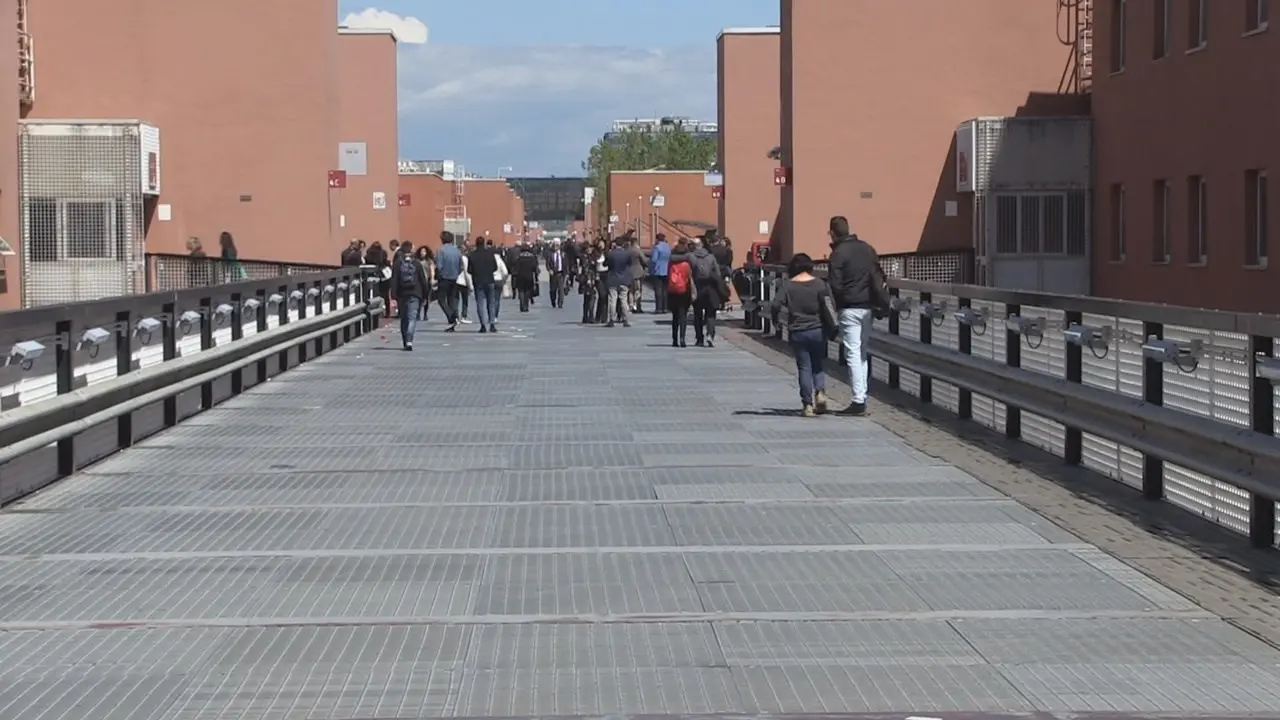 All’Unical i laureati più soddisfatti d’Italia, cresce anche l’occupazione: i dati di Almalaurea