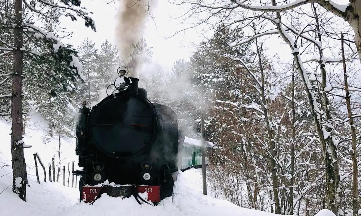 Col bianco suo candor… scende la neve sulla Sila e riparte il Treno a vapore