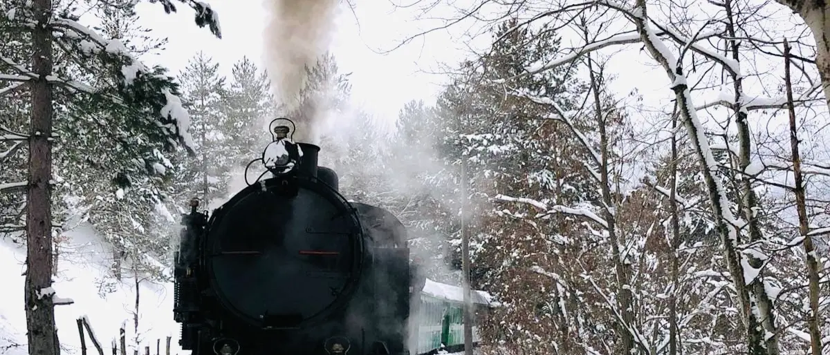 Col bianco suo candor… scende la neve sulla Sila e riparte il Treno a vapore
