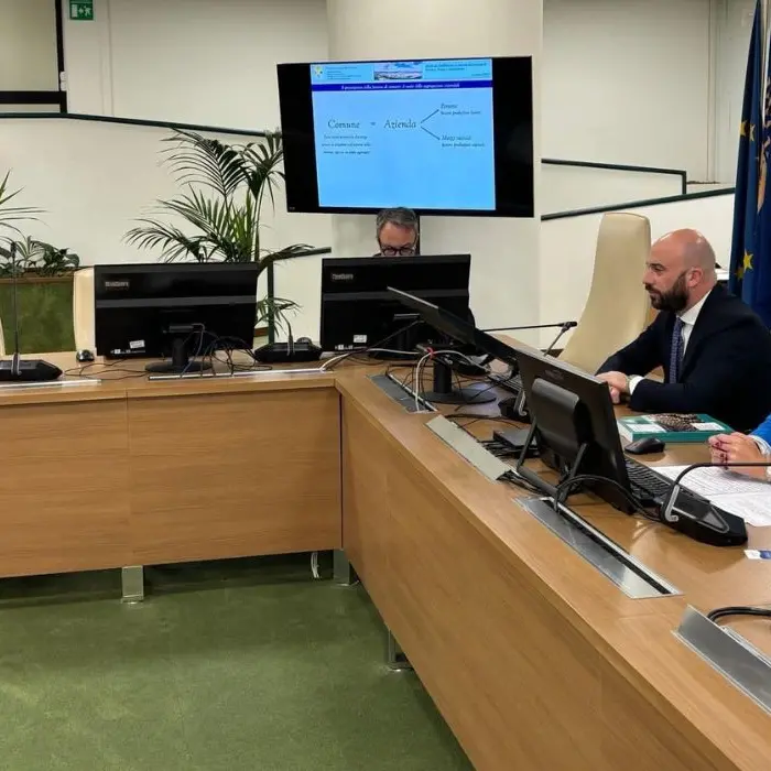 Città unica Cosenza-Rende-Castrolibero, parla Luciana De Francesco: «Indispensabile per l'area urbana»