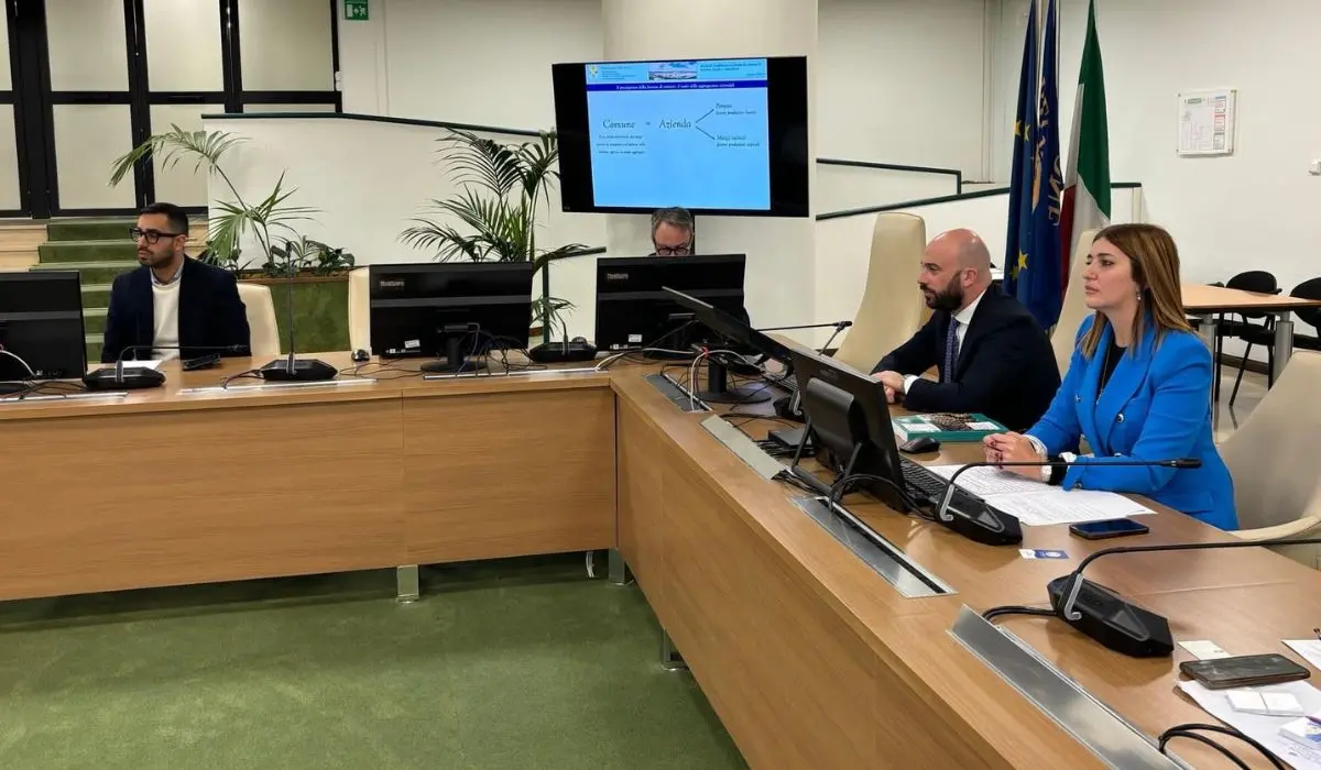 Città unica Cosenza-Rende-Castrolibero, parla Luciana De Francesco: «Indispensabile per l'area urbana»