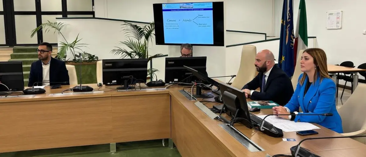 Città unica Cosenza-Rende-Castrolibero, parla Luciana De Francesco: «Indispensabile per l'area urbana»