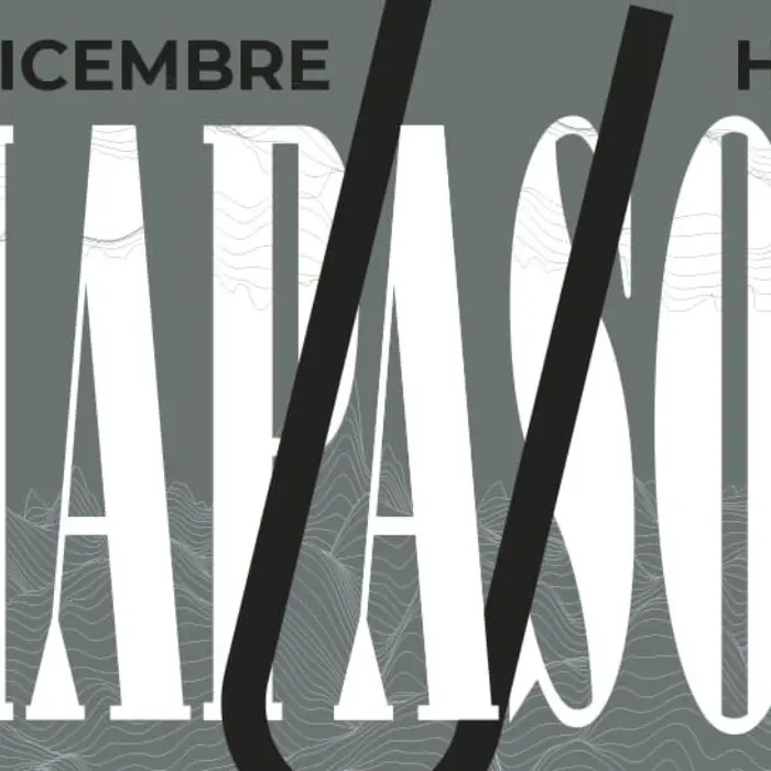A Cosenza ecco Diapason, le Vibrazioni che celebrano la musica