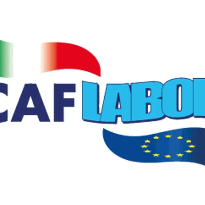 «Le domande per il Rdc sono state trasmesse con lo Spid, il Caf Labor è estraneo»