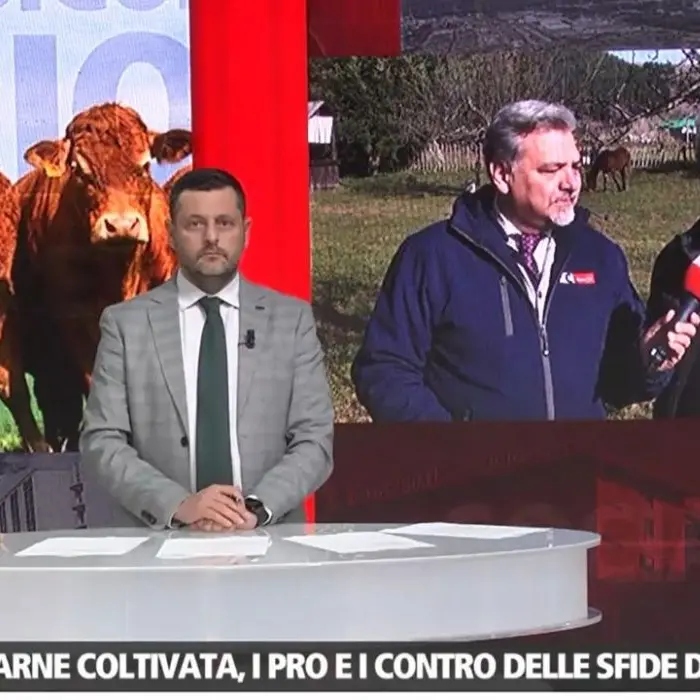 Dentro la Notizia, focus sulla carne sintetica: quella fatta in laboratorio è “coltivata”