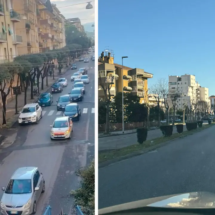 Cosenza, potati in centro degli alberi pericolosi per autobus e veicoli in transito