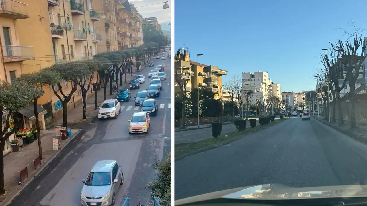 Cosenza, potati in centro degli alberi pericolosi per autobus e veicoli in transito