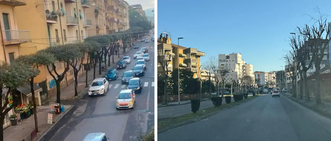 Cosenza, potati in centro degli alberi pericolosi per autobus e veicoli in transito