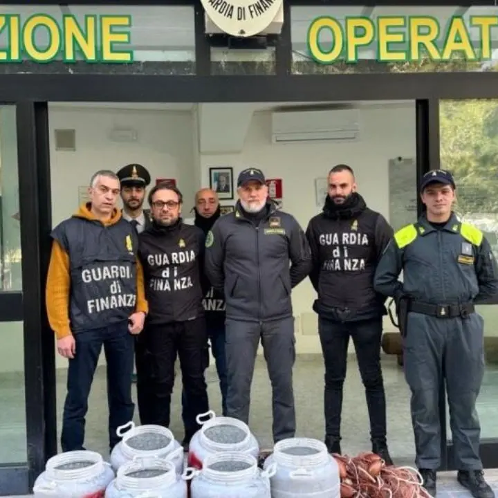 Sequestrata in Calabria mezza tonnellata di bianchetto: ecco dove