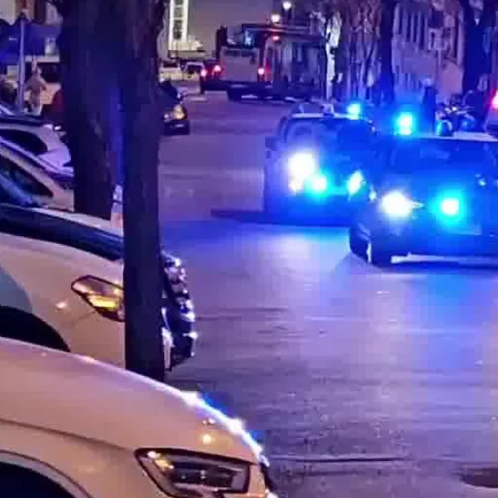 Cosenza, rinvenute armi, cocaina ed eroina a Via Popilia. Erano occultate in una finta trave