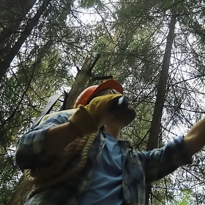 Forestali di Calabria, una truppa mal distribuita. E ad Acri c'è il record di giubbe verdi