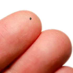 Trovato in Sila un rarissimo meteorite