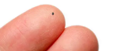 Trovato in Sila un rarissimo meteorite