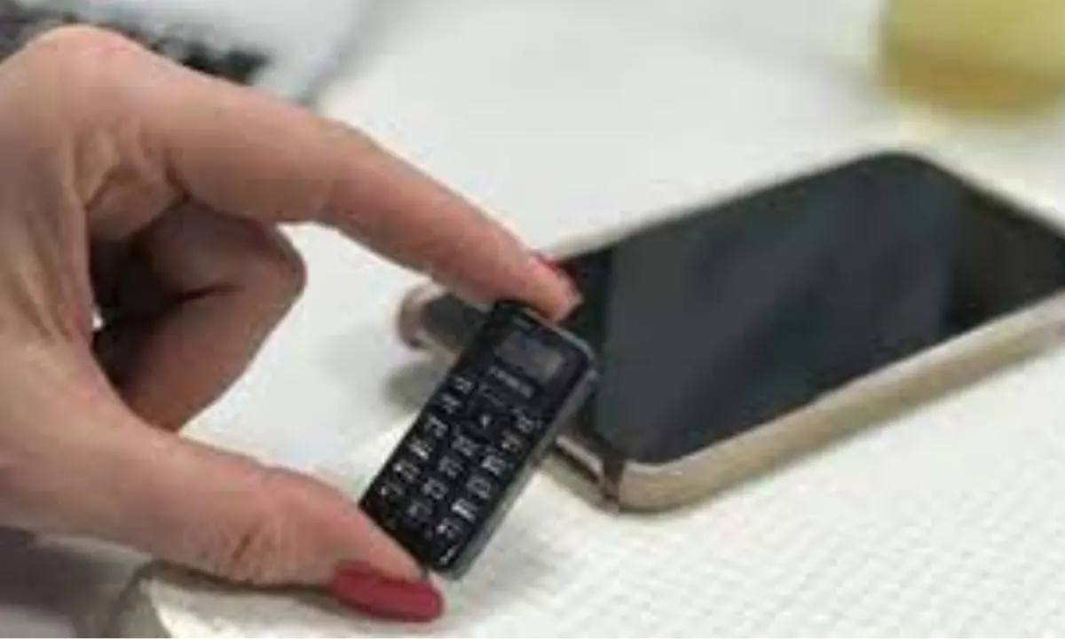 Telefonini ai detenuti di Catanzaro, il listino prezzi dei trafficanti cosentini