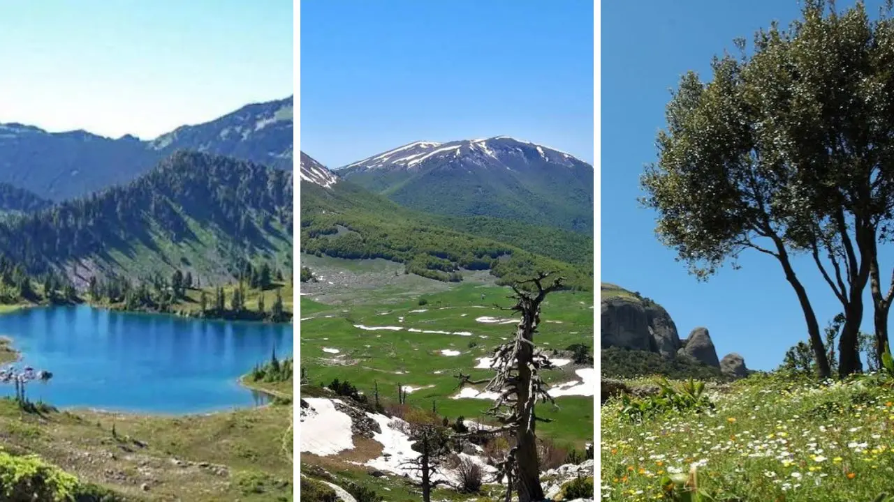 Sila, Pollino e Aspromonte: patrimonio a rischio per colpa dei cambiamenti climatici