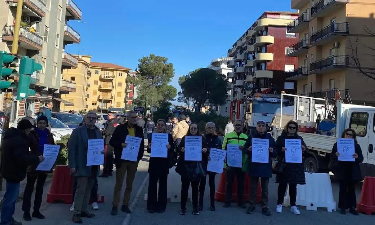 Rende, proclama ambientalista contro il taglio degli alberi