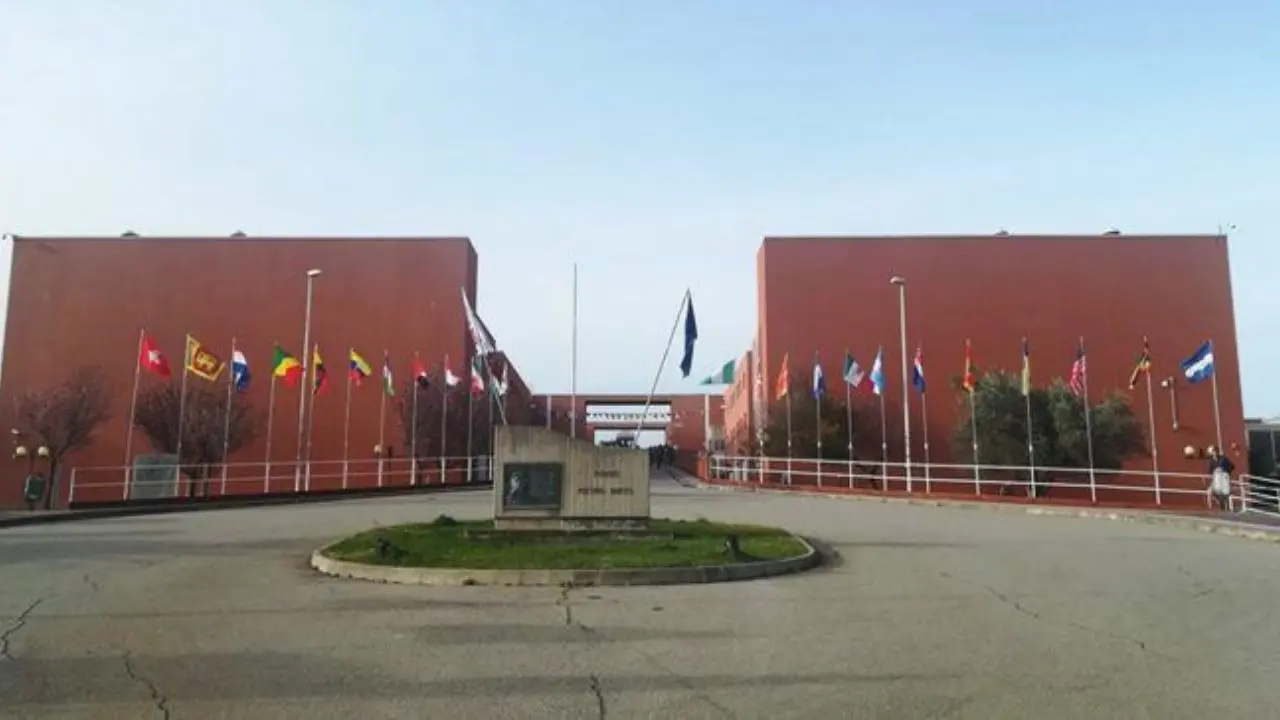Unical, al via la compilazione online della domanda per borse di studio 2024/2025