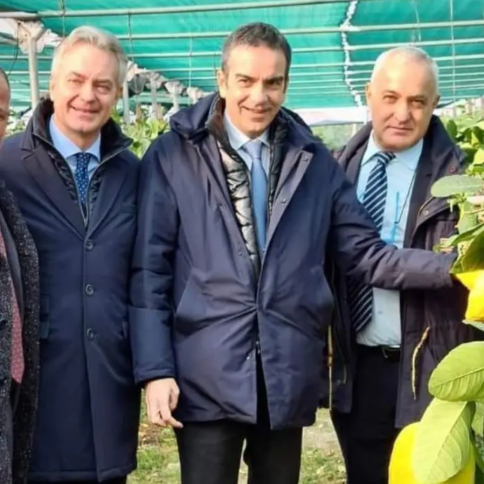 MacFrut, il Cedro di Santa Maria del Cedro torna a Rimini