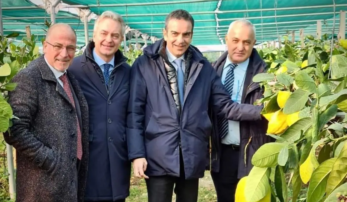 MacFrut, il Cedro di Santa Maria del Cedro torna a Rimini