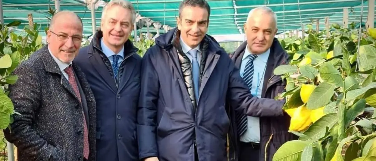 MacFrut, il Cedro di Santa Maria del Cedro torna a Rimini