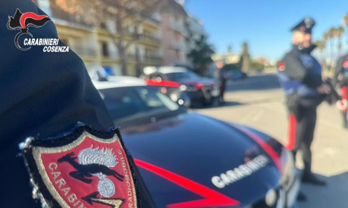 Droga dalla Calabria al Nord Italia, arresti anche a Cosenza nel blitz dei Carabinieri