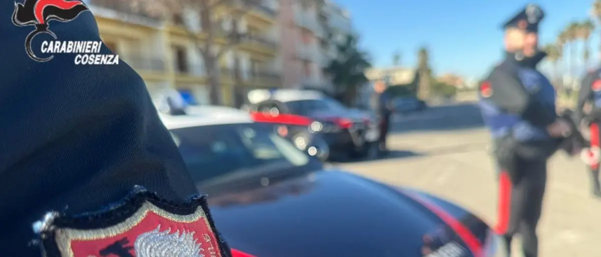 Droga dalla Calabria al Nord Italia, arresti anche a Cosenza nel blitz dei Carabinieri