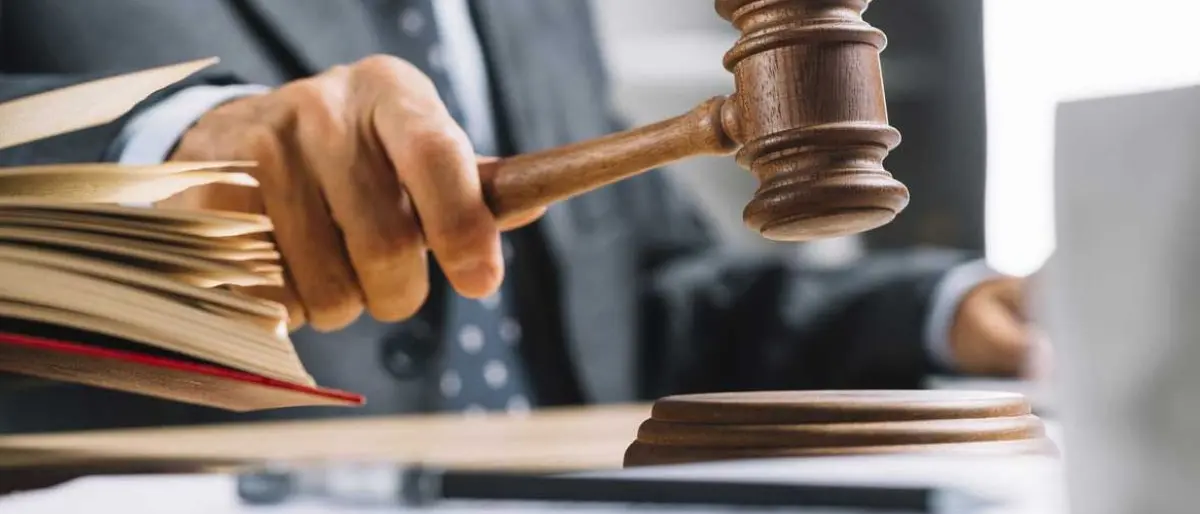 'Ndrangheta a Cosenza, perché le inchieste \"Testa di Serpente\", \"Reset\" e \"Recovery\" si legano l'una con l'altra