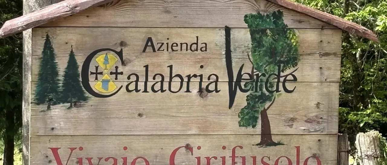 «Potenziate il Vivaio Cirifusolo nel comune di Fagnano Castello»