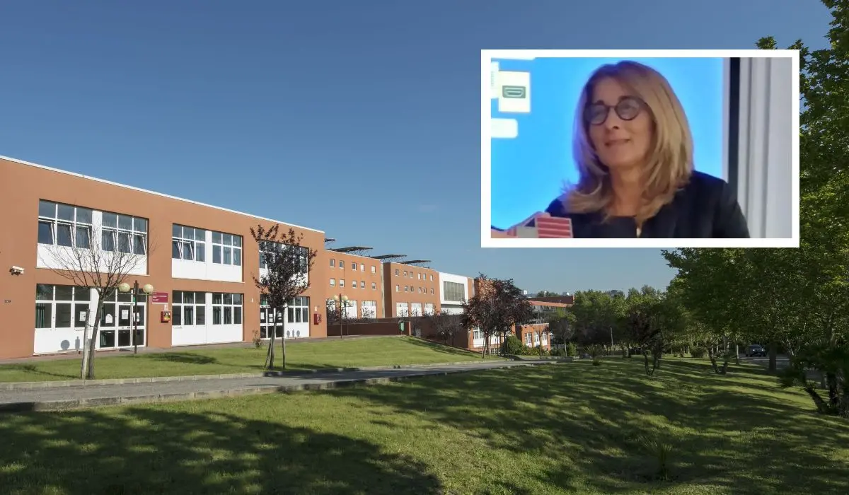 Unical, Anna Napoli riconfermata direttrice del dipartimento di Chimica