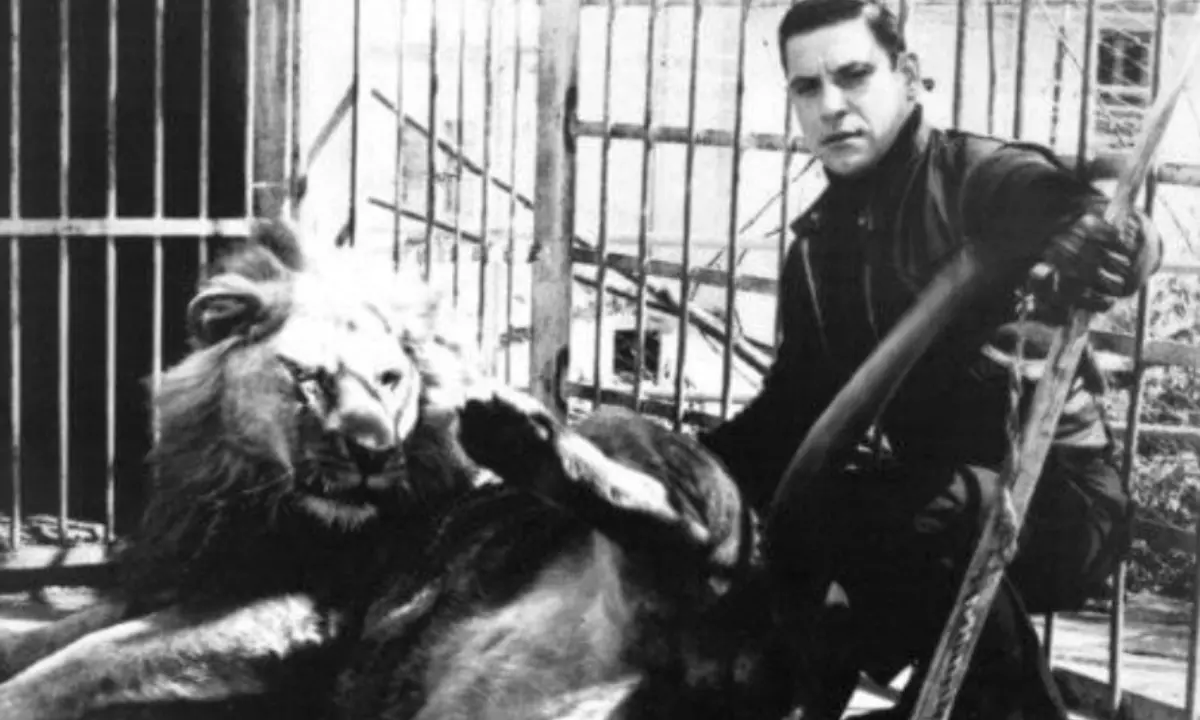 Amarcord | La sfortunata storia di Eros, il leone cieco di Cosenza