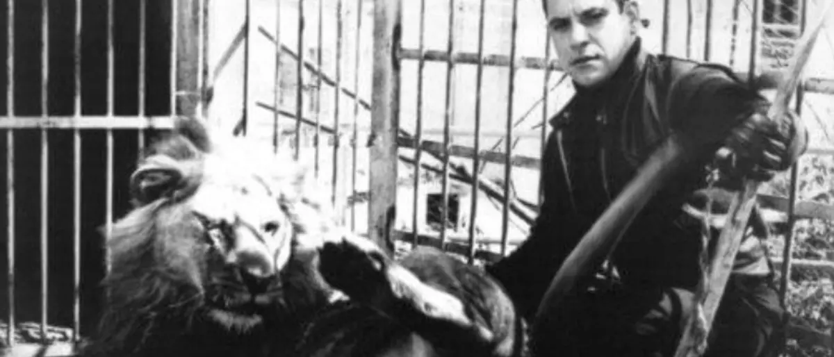 Amarcord | La sfortunata storia di Eros, il leone cieco di Cosenza